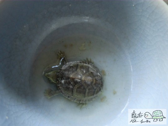 CIMG3550.JPG
