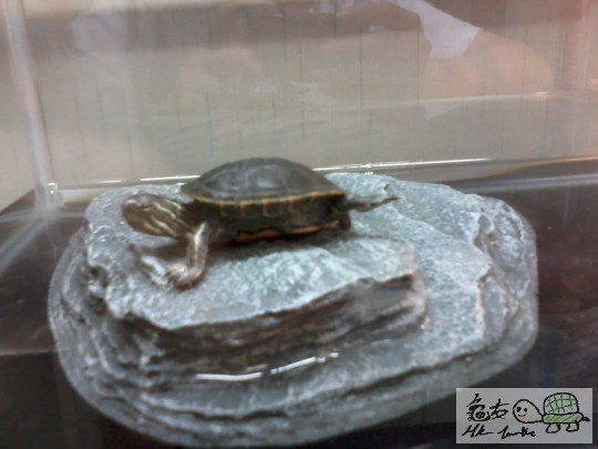 2012-11-27 20.54.46.jpg