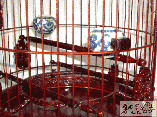 複製 -rereet.gif