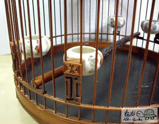 複製 -njiu.gif