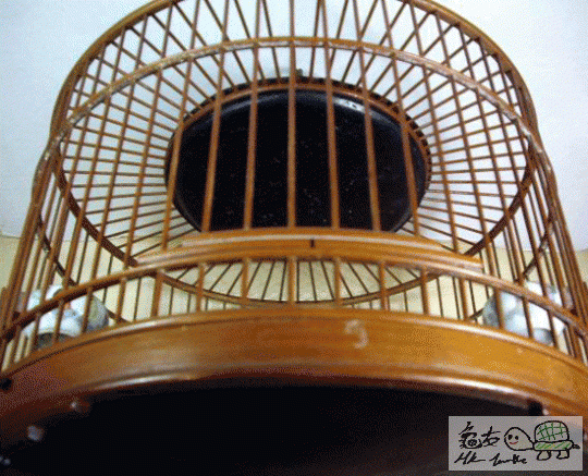 複製 -gghghg.gif