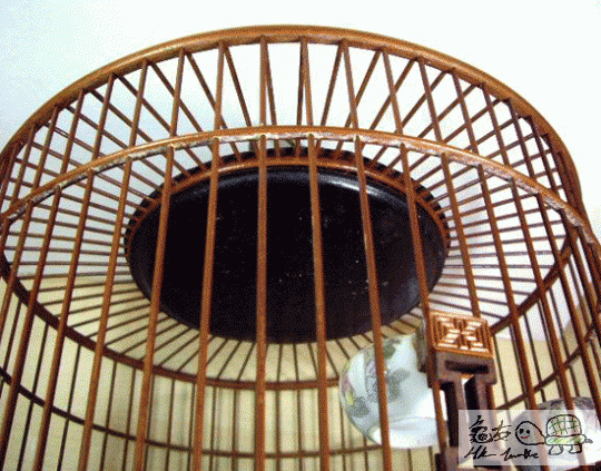 複製 -fggsd.gif