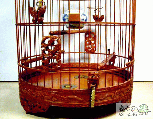 複製 -lklkj;lk.gif