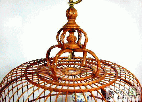 複製 -Rejhgjghui.gif