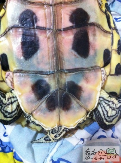 Evernote Camera Roll 20121231 010858.jpg