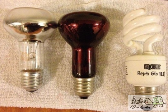 ZOO-MED 太陽曕,紅外線曕 兩個都是40W & EXO TERRA UVB 10.0