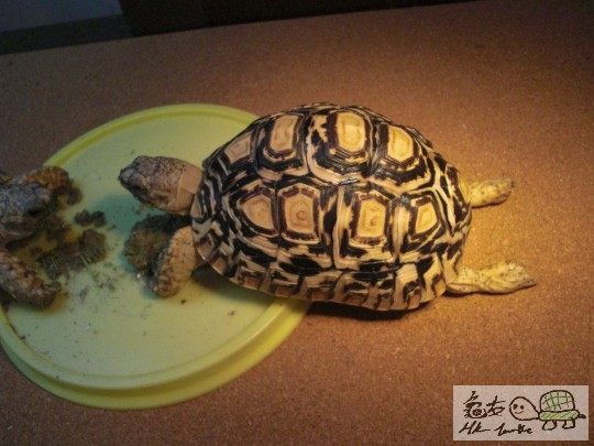 enjoyment of having lunch (1).jpg