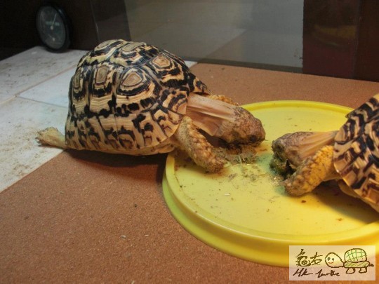 enjoyment of having lunch (2).jpg