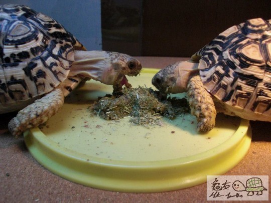 enjoyment of having lunch (3).jpg