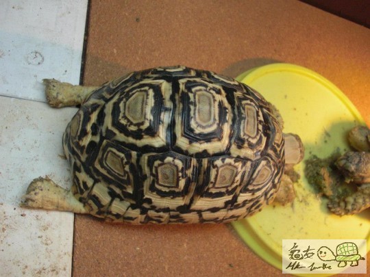 enjoyment of having lunch (4).jpg