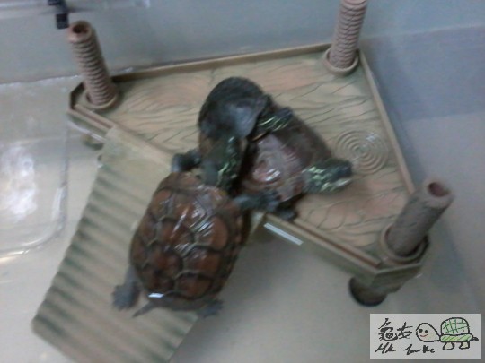 2013-01-15 16.21.48.jpg