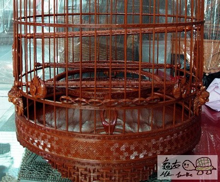 複製 -T2jJR9XglcXXXXXXXX_!!320523964.jpg