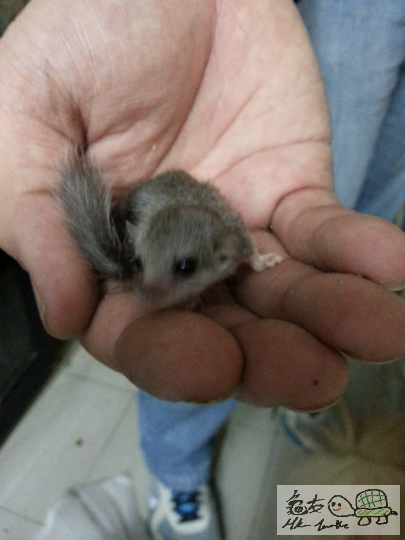 2012-12-21 01.20.10.png