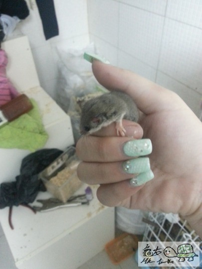 2012-12-21 01.18.45.png