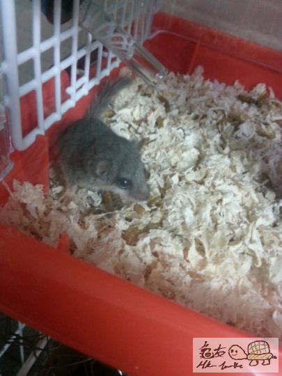 2012-12-21 01.19.28.png