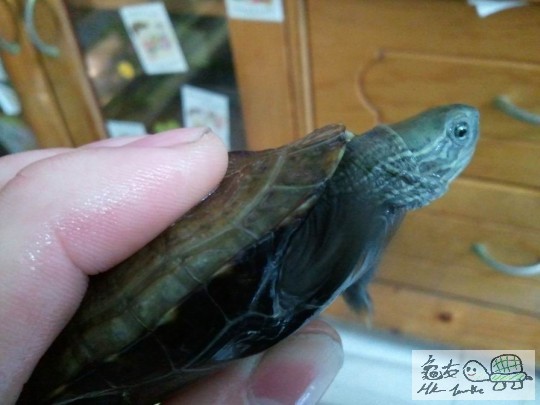 調整大小2012-12-31 20.51.23.jpg