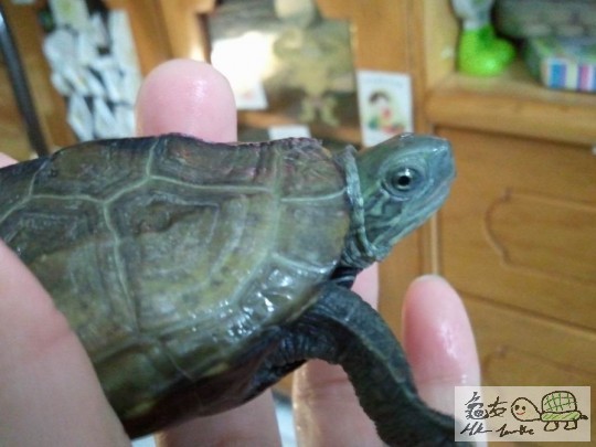 調整大小2012-12-31 20.52.31.jpg