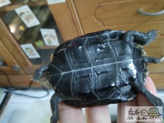 調整大小2012-12-31 20.51.33.jpg