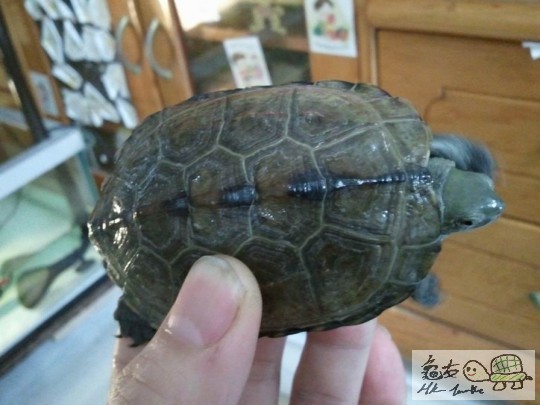 調整大小2012-12-31 20.52.55.jpg