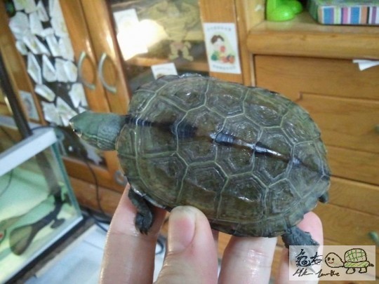 調整大小2012-12-31 20.53.19.jpg