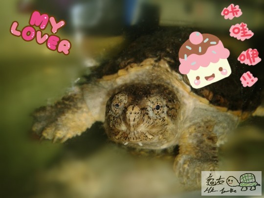 2013-02-09 13.17.09_副本.jpg