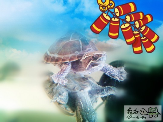 2013-02-09 13.08.32_副本.jpg