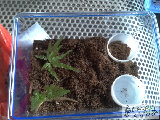 2013-02-02 15.53.38.jpg