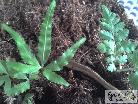 2013-02-02 15.53.57.jpg