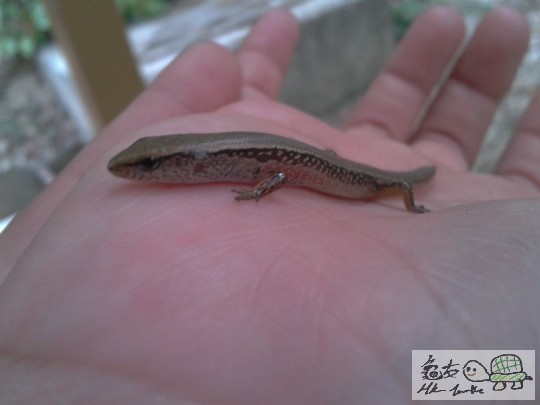 2013-02-12 17.38.41.jpg