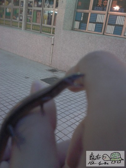 2013-02-12 18.29.55.jpg