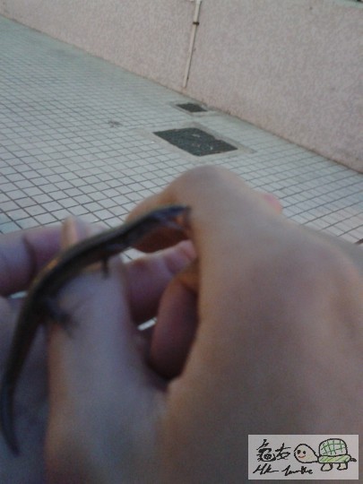 2013-02-12 18.30.13.jpg