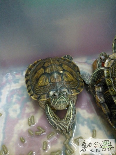 WP_000383 - 複製.jpg