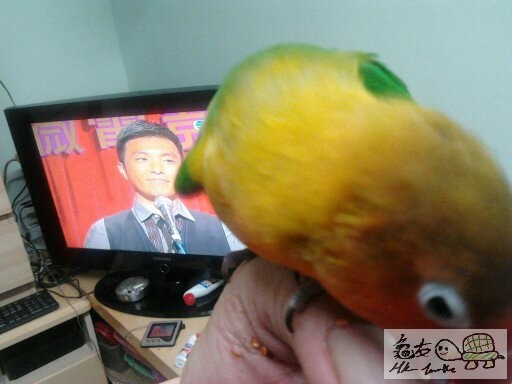 1363355476382.jpg