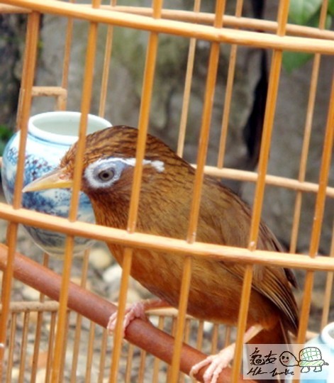 複製 -20101020_92080f2d83de520664100R5OXAH421UO.jpg.thumb.jpg