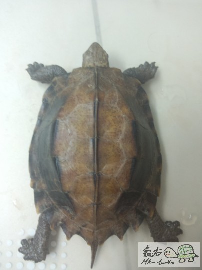 2013-03-24 23.49.00.jpg