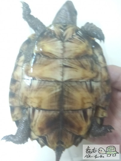 2013-03-24 23.49.11.jpg