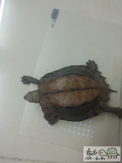 2013-03-24 23.49.20.jpg