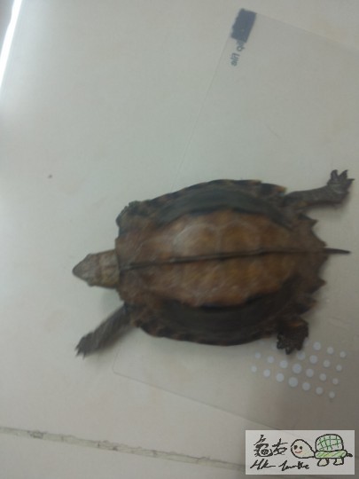 2013-03-24 23.49.21.jpg