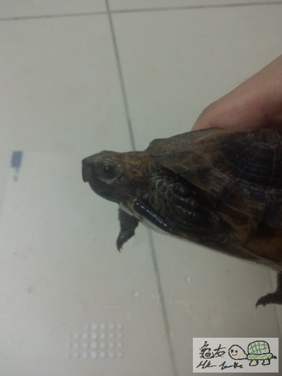 2013-03-24 23.49.59.jpg