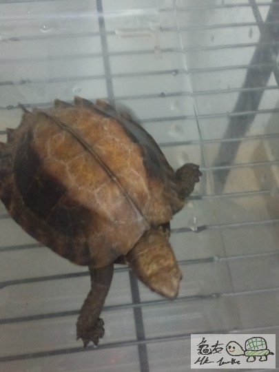 2013-03-24 23.52.46.jpg