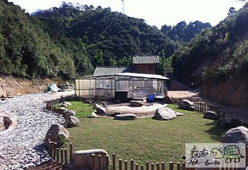 建造龜樂園-室外篇................................................jpg