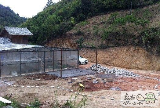 建造龜樂園-室外篇..jpg