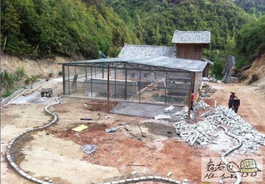建造龜樂園-室外篇...jpg