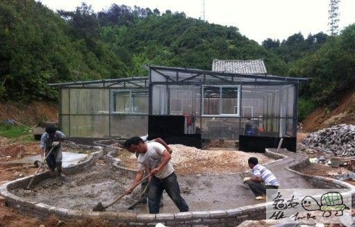 建造龜樂園-室外篇........jpg