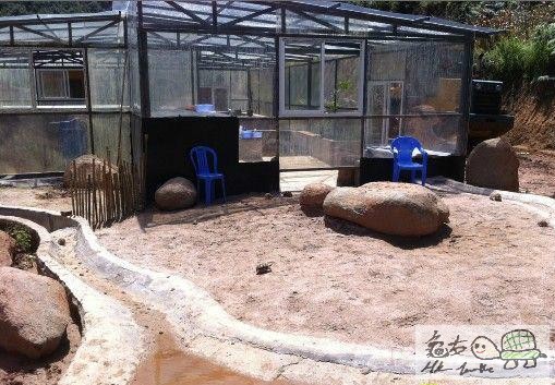建造龜樂園-室外篇.........................jpg