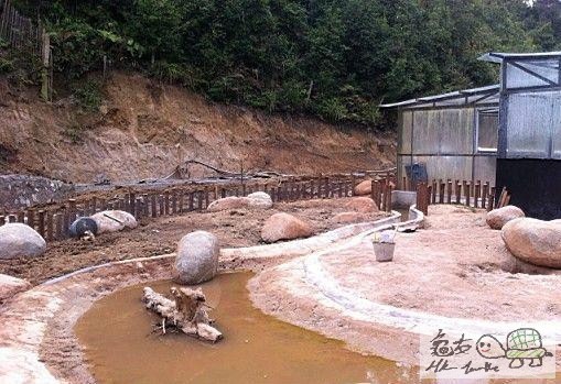 建造龜樂園-室外篇..............................jpg