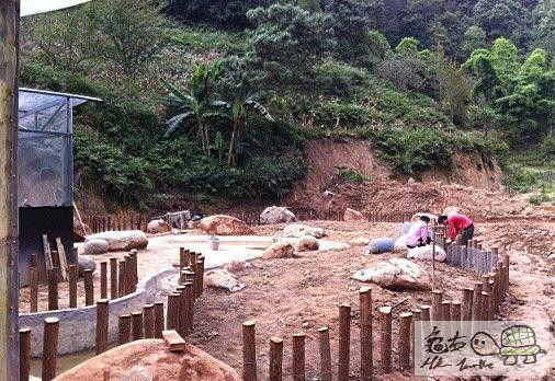 建造龜樂園-室外篇..................................jpg