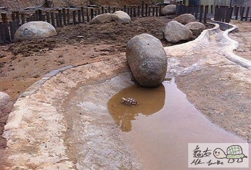 建造龜樂園-室外篇...................................jpg