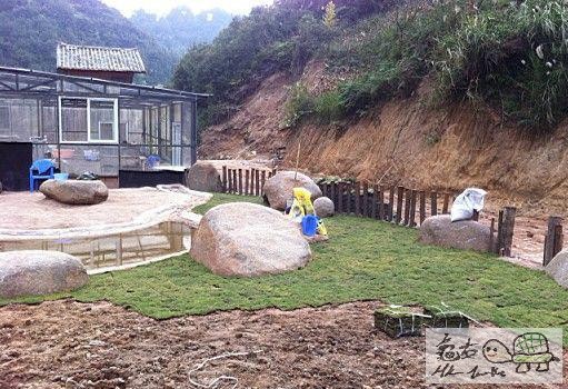 建造龜樂園-室外篇.......................................jpg
