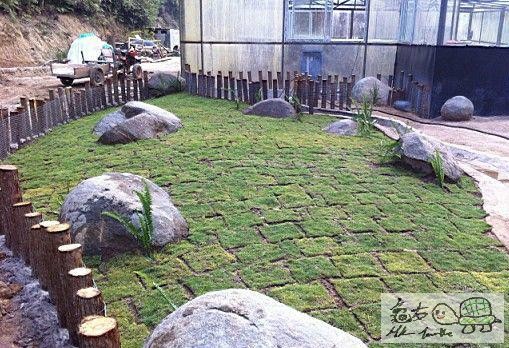 建造龜樂園-室外篇..........................................jpg